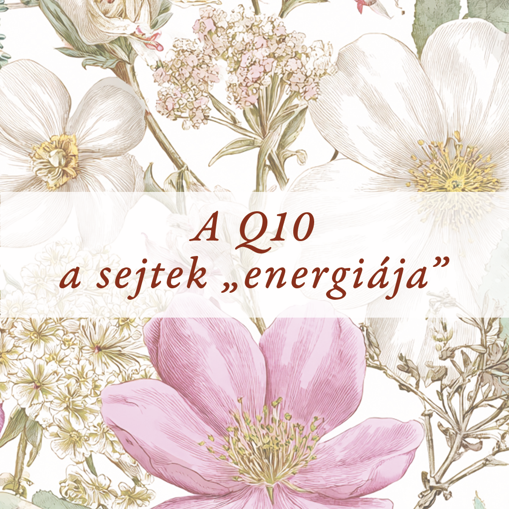 Mit tud valójában a Q10?