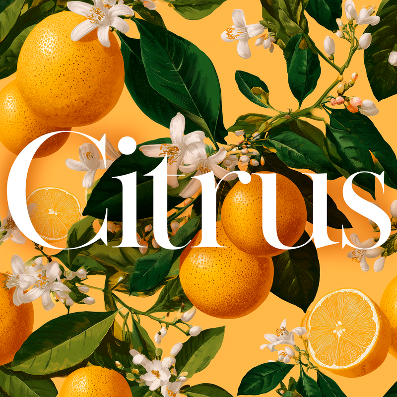 Citrus termékcsalád