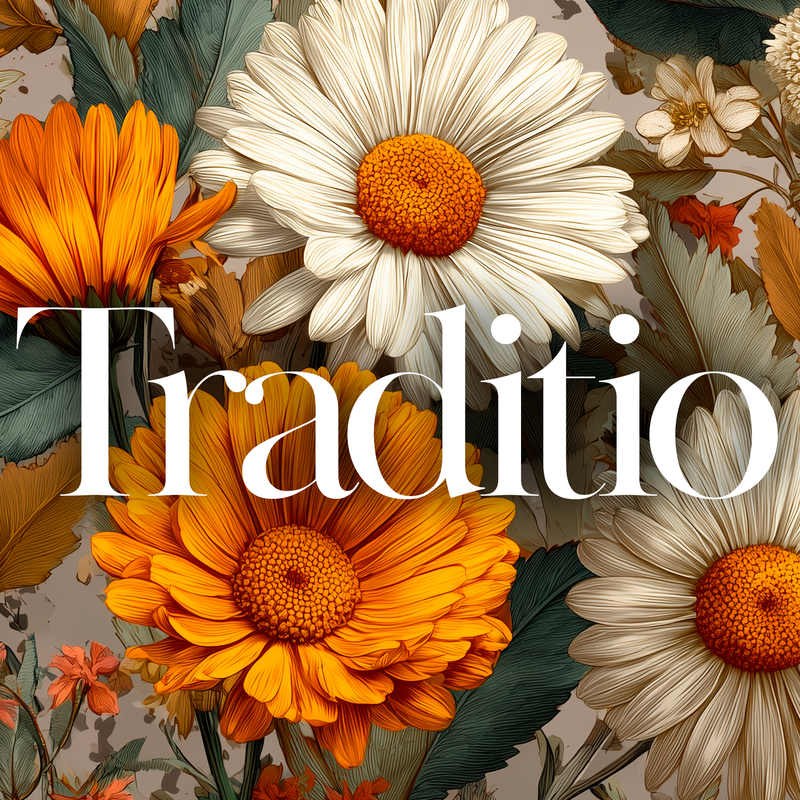 Traditio termékcsalád